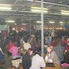 IMG_3119 (Custom)